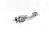 Katalysator hinten NAP carPARTS CAK11383 Bild Katalysator hinten NAP carPARTS CAK11383