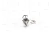 Katalysator NAP carPARTS CAK11389 Bild Katalysator NAP carPARTS CAK11389