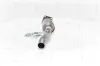 Katalysator NAP carPARTS CAK11396 Bild Katalysator NAP carPARTS CAK11396