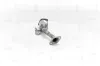 Katalysator hinten NAP carPARTS CAK11439 Bild Katalysator hinten NAP carPARTS CAK11439