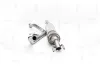 Katalysator hinten NAP carPARTS CAK11447 Bild Katalysator hinten NAP carPARTS CAK11447