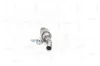 Katalysator NAP carPARTS CAK11498 Bild Katalysator NAP carPARTS CAK11498