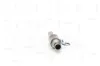 Katalysator NAP carPARTS CAK11498 Bild Katalysator NAP carPARTS CAK11498
