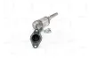 Katalysator NAP carPARTS CAK11540 Bild Katalysator NAP carPARTS CAK11540