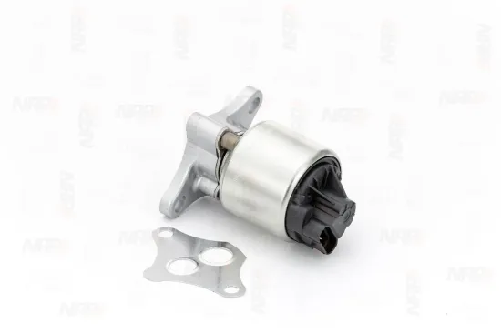 AGR-Ventil NAP carPARTS CAV10001 Bild AGR-Ventil NAP carPARTS CAV10001