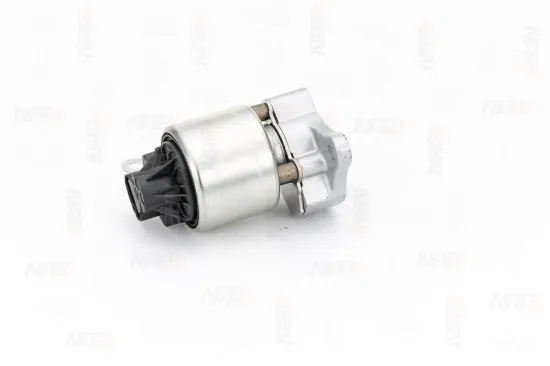 AGR-Ventil NAP carPARTS CAV10001 Bild AGR-Ventil NAP carPARTS CAV10001