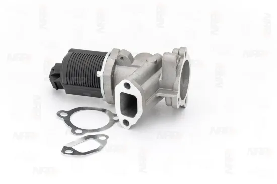 AGR-Ventil NAP carPARTS CAV10036 Bild AGR-Ventil NAP carPARTS CAV10036