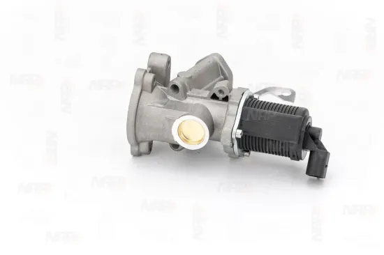 AGR-Ventil NAP carPARTS CAV10036 Bild AGR-Ventil NAP carPARTS CAV10036