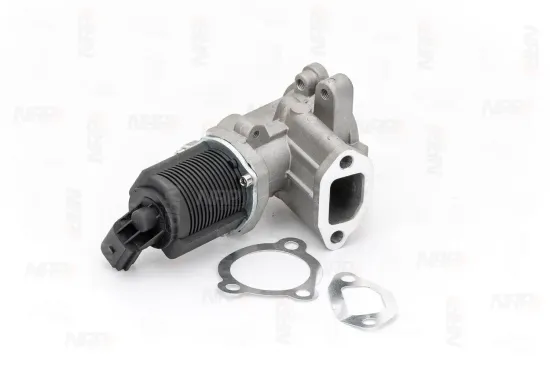 AGR-Ventil NAP carPARTS CAV10036 Bild AGR-Ventil NAP carPARTS CAV10036