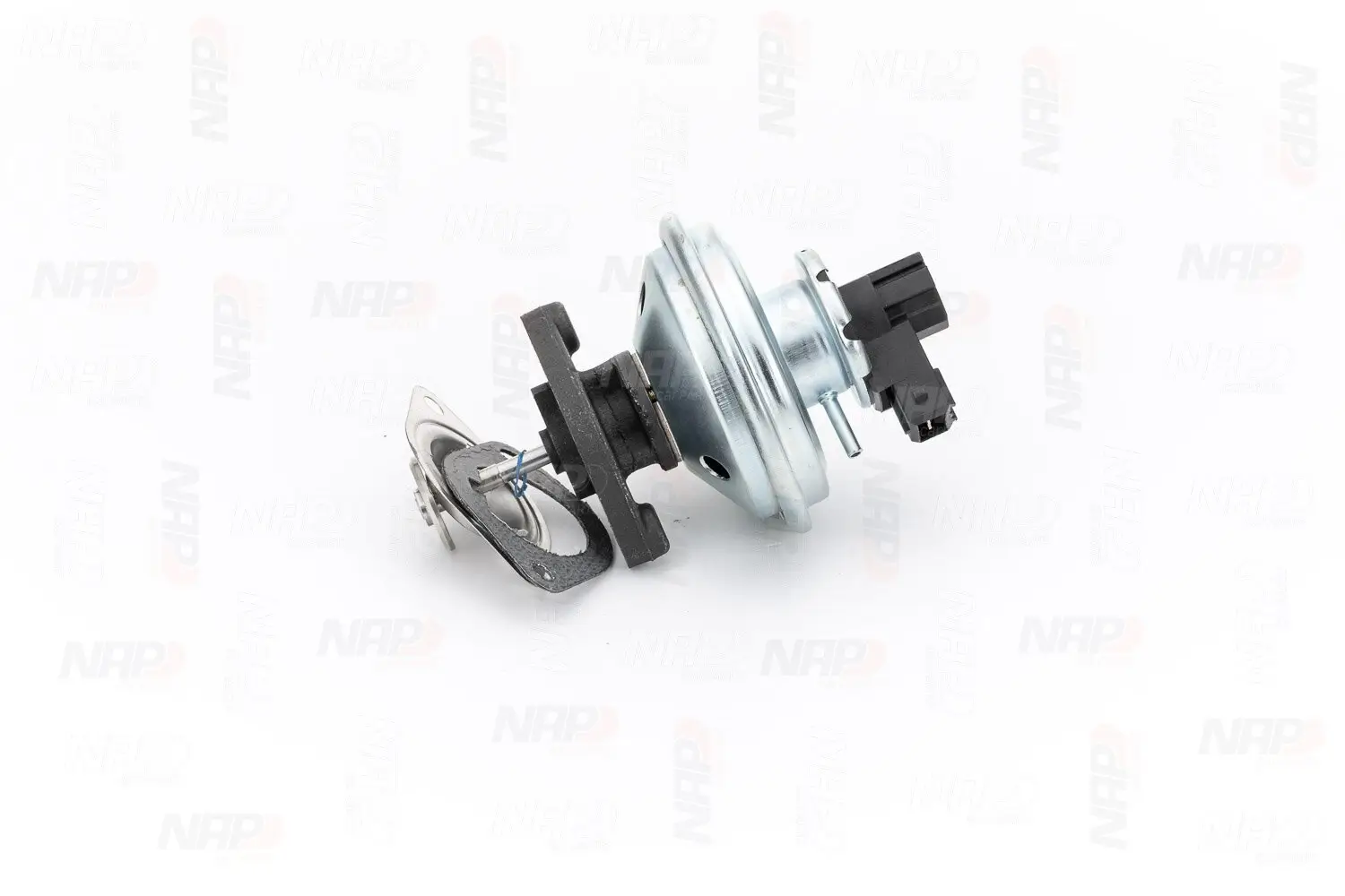 AGR-Ventil NAP carPARTS CAV10059