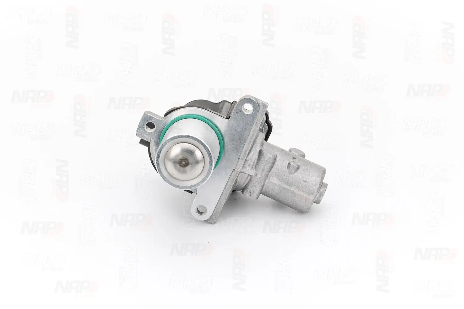 AGR-Ventil NAP carPARTS CAV10060