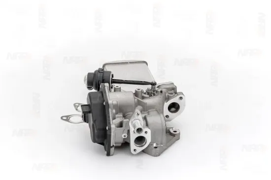 AGR-Ventil NAP carPARTS CAV10116 Bild AGR-Ventil NAP carPARTS CAV10116