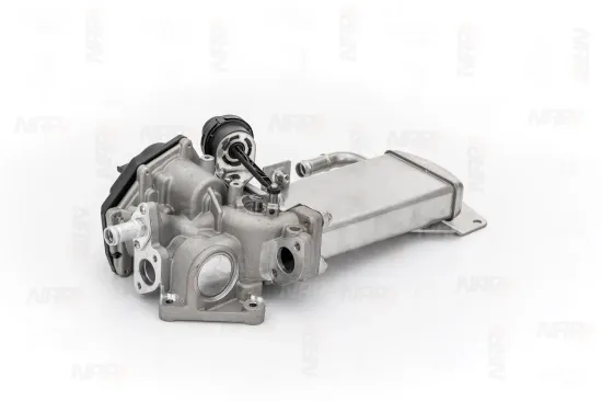 AGR-Ventil NAP carPARTS CAV10116 Bild AGR-Ventil NAP carPARTS CAV10116
