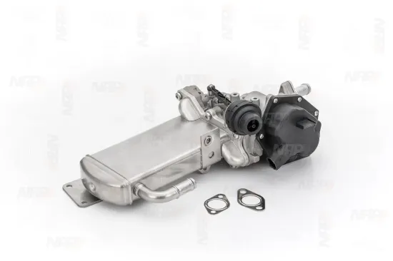 AGR-Ventil NAP carPARTS CAV10116 Bild AGR-Ventil NAP carPARTS CAV10116