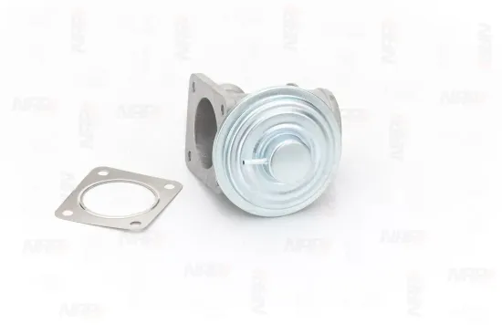 AGR-Ventil NAP carPARTS CAV10135 Bild AGR-Ventil NAP carPARTS CAV10135