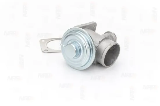 AGR-Ventil NAP carPARTS CAV10135 Bild AGR-Ventil NAP carPARTS CAV10135