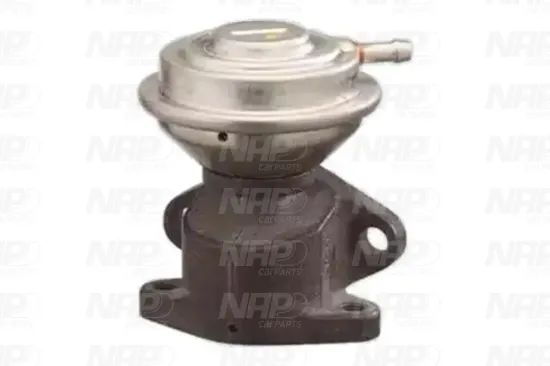 AGR-Ventil NAP carPARTS CAV10150 Bild AGR-Ventil NAP carPARTS CAV10150