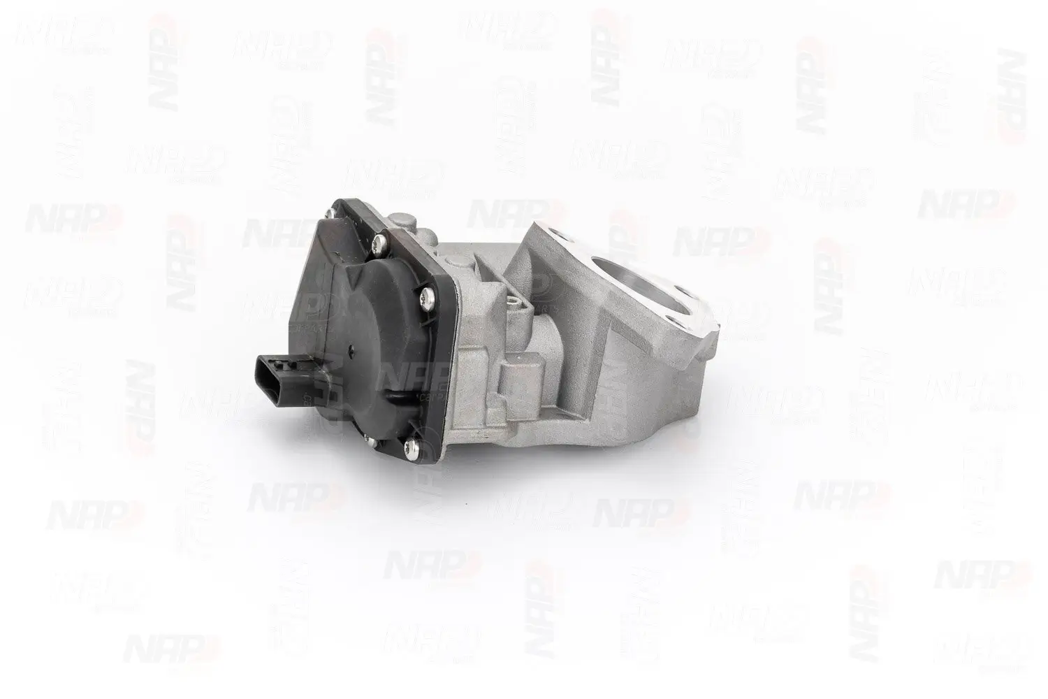 AGR-Ventil NAP carPARTS CAV10179