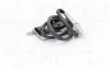 NOx-Sensor, Harnstoffeinspritzung vorne NAP carPARTS CNS10049