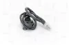 NOx-Sensor, Harnstoffeinspritzung NAP carPARTS CNS10058 Bild NOx-Sensor, Harnstoffeinspritzung NAP carPARTS CNS10058