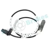 Sensor, Raddrehzahl Hinterachse links Hinterachse rechts RAP BRAKES R-A0155