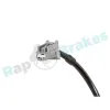 Sensor, Raddrehzahl Vorderachse links RAP BRAKES R-A0454 Bild Sensor, Raddrehzahl Vorderachse links RAP BRAKES R-A0454