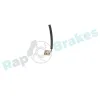 Sensor, Raddrehzahl Hinterachse links RAP BRAKES R-A0737 Bild Sensor, Raddrehzahl Hinterachse links RAP BRAKES R-A0737