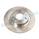 Bremsscheibe Hinterachse RAP BRAKES R-D1033