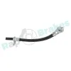 Bremsschlauch Vorderachse rechts RAP BRAKES R-H0723 Bild Bremsschlauch Vorderachse rechts RAP BRAKES R-H0723