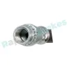Bremsschlauch Hinterachse links Hinterachse rechts RAP BRAKES R-H0856 Bild Bremsschlauch Hinterachse links Hinterachse rechts RAP BRAKES R-H0856