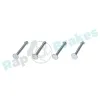 Zubehörsatz, Bremsbacken Hinterachse RAP BRAKES R-T0096 Bild Zubehörsatz, Bremsbacken Hinterachse RAP BRAKES R-T0096