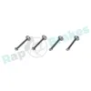Zubehörsatz, Bremsbacken Hinterachse RAP BRAKES R-T0216 Bild Zubehörsatz, Bremsbacken Hinterachse RAP BRAKES R-T0216