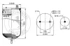 Federbalg, Luftfederung CONTITECH AIR SPRING 4915 N P03