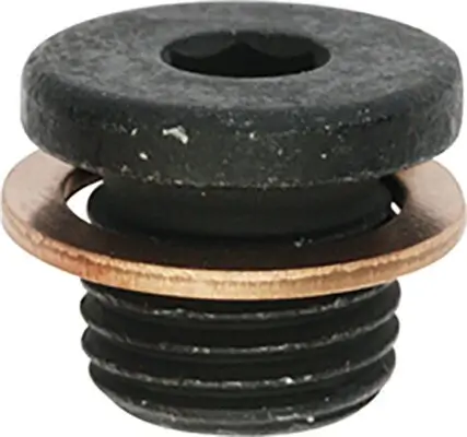 Verschlussschraube, Ölwanne RESTAGRAF 221478 Bild Verschlussschraube, Ölwanne RESTAGRAF 221478