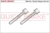 Schraube, Bremssattel QUICK BRAKE 11611K