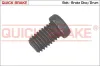 Schraube, Bremsscheibe QUICK BRAKE 11668