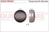 Kappe, Radlager Hinterachse QUICK BRAKE 9821K