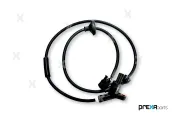 Sensor, Raddrehzahl Hinterachse PREXAparts P101015