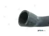 Kühlerschlauch rechts unten PREXAparts P226004 Bild Kühlerschlauch rechts unten PREXAparts P226004