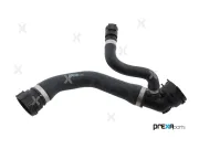 Kühlerschlauch PREXAparts P226035