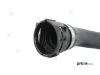 Kühlerschlauch PREXAparts P226035 Bild Kühlerschlauch PREXAparts P226035