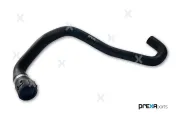 Kühlerschlauch PREXAparts P226049
