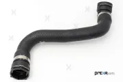 Kühlerschlauch unten PREXAparts P226155