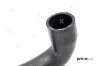 Kühlerschlauch PREXAparts P226217 Bild Kühlerschlauch PREXAparts P226217