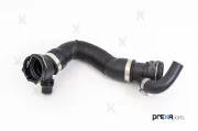 Kühlerschlauch unten PREXAparts P226392