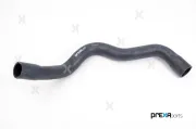 Kühlerschlauch hinten oben PREXAparts P226713