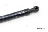 Gasfeder, Motorhaube beidseitig PREXAparts P237007 Bild Gasfeder, Motorhaube beidseitig PREXAparts P237007