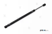 Gasfeder, Motorhaube PREXAparts P237020