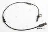 Sensor, Raddrehzahl Vorderachse PREXAparts P301008