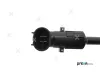 Sensor, Kühlmitteltemperatur PREXAparts P303013 Bild Sensor, Kühlmitteltemperatur PREXAparts P303013